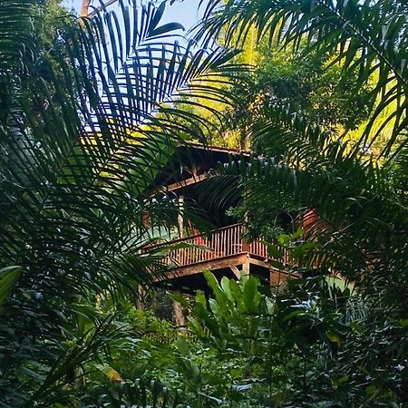 Pousada Anjali Velha Boipeba Ngoại thất bức ảnh